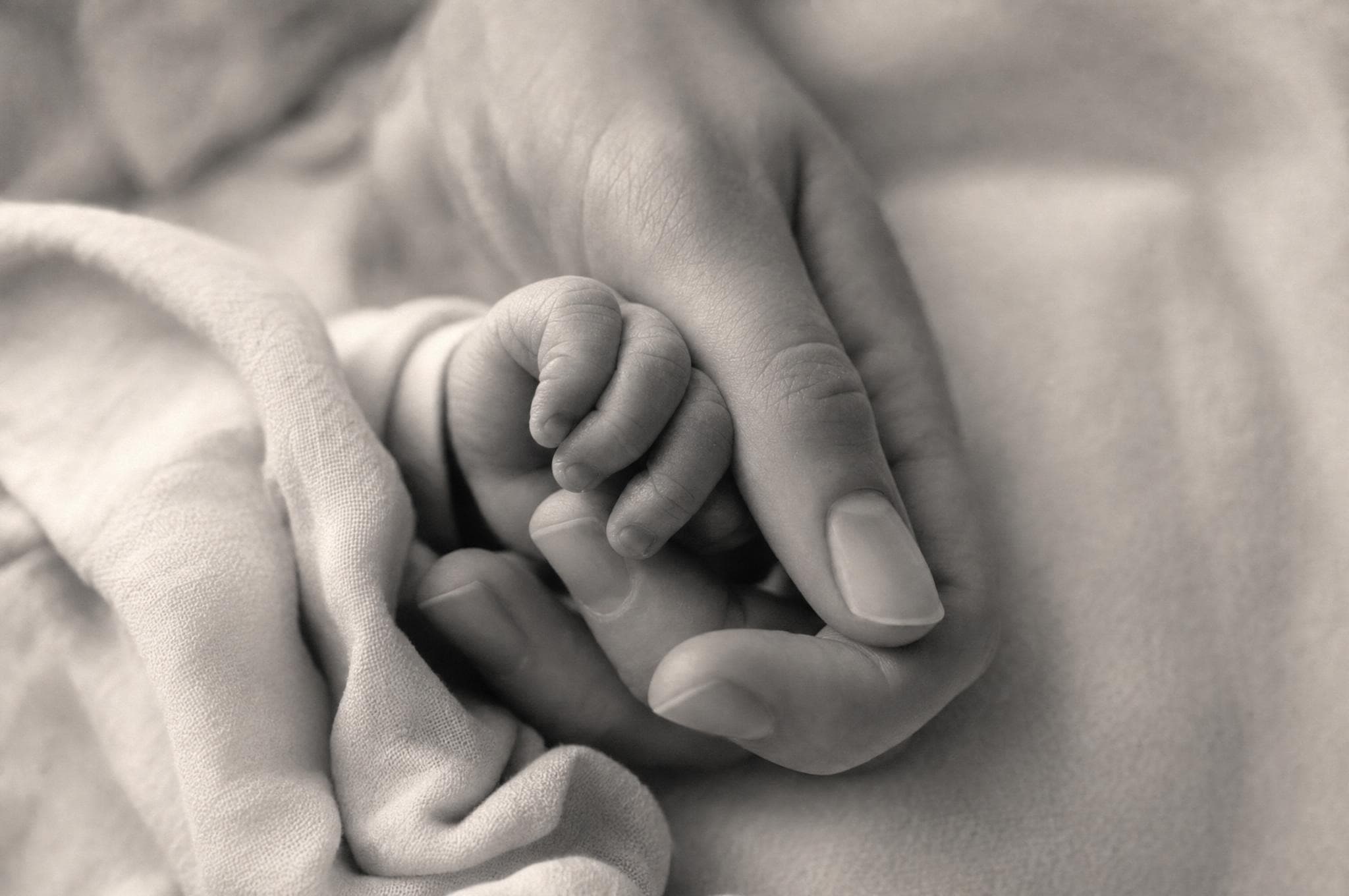 A newborn's hand cradled in a parent's hand on ivory linen